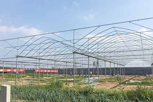 開封-農業種植大棚管