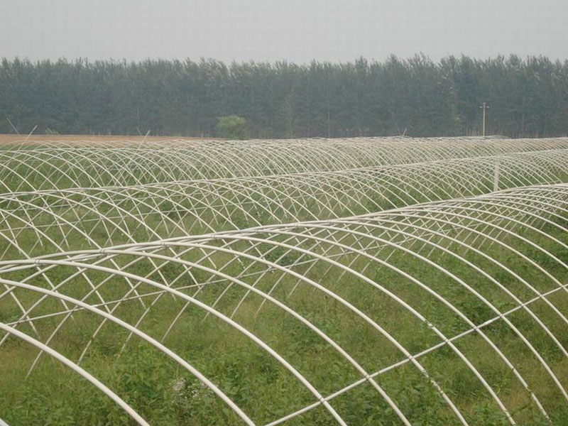 農(nóng)業(yè)種植大棚管